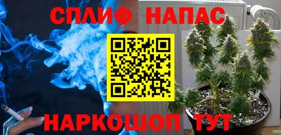 спайс Канаш