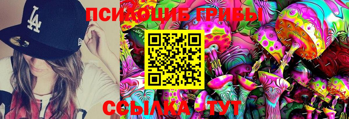 Галлюциногенные грибы Psilocybine cubensis Калач-на-Дону
